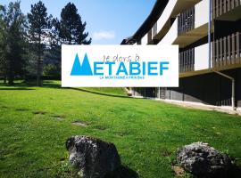 Trés bel appartement au pied des pistes，位于梅塔比耶的酒店