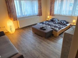 Burg Apartment mit Badewanne und Balkon，位于Burghaun的酒店