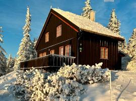 Original Olympic cabin ski in out Hafjell，位于Hunder的酒店