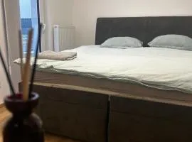 Сучасні номера біля Плзня