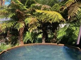 Cottage and geothermal pool by lake Taupo