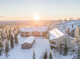 Frost Chalet Ski-in Ski-out by Aavalevi，位于列维的木屋