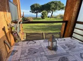 Appartement n 79 Moriani plage