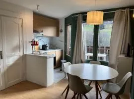 Mignon petit Studio 25m2 avec balcon et Parking face départ pistes !