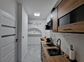 Mini Agat