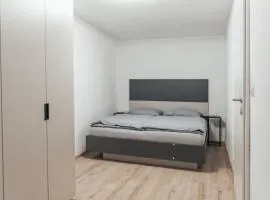 Gozzos Dream