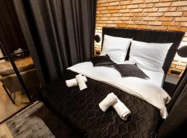 Loft 79 Głogów，位于格沃古夫的酒店