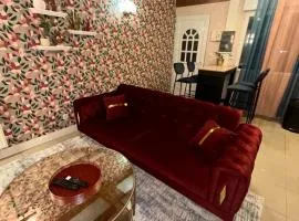 Le 8 Appartement - Le Duplex II - parking gratuit -