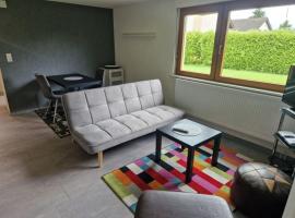 Apartment Matthes，位于Dogern的酒店