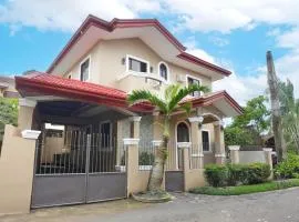 Big Transient House