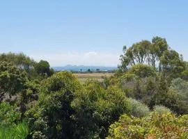 You Yangs Vista
