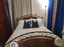 Fantastic with Terrace in the colonial zone