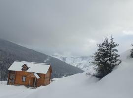 Najin konak，位于普拉夫的山林小屋