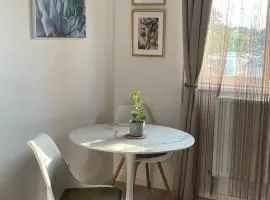 Apartament de lux