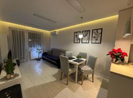 Bożki Apartament Kętrzyn，位于肯琴的低价酒店