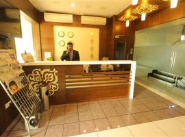 Hotel Princess，位于Ankleshwar的酒店