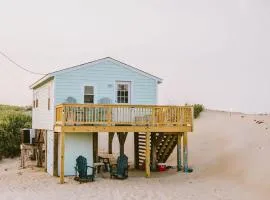 NH337A Coastal Dunes 1