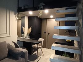 Garage Apartments，位于巴伊纳巴什塔的酒店