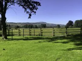 The Dog Kennels
