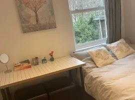 Cosy Room3 in Kings Cross London