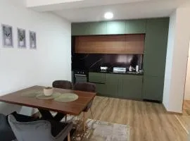 Luksuzni Apartman Ema 2