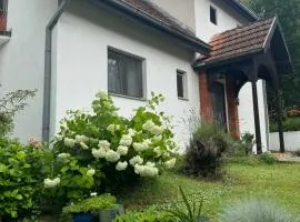 Privatni smeštaj Sobe Branković