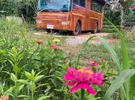 Bus Resort