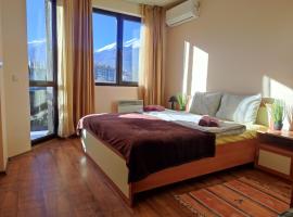 Snow Lodge Mountain view，位于班斯科的酒店