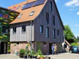 Ausblick Maisenbach, Talstraße