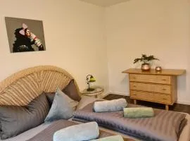 Pilgrims "Dobby" 1 SZ wifi