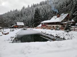 Cabană în inima munților，位于Bălan的度假屋