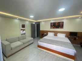 Hotel Magistral Suiter，位于基布多的酒店