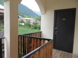 Guesthouse Bacha & Lia，位于梅斯蒂亚的酒店