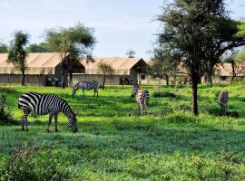 Africa Safari South Serengeti Ndutu Camping，位于Sinoni的酒店