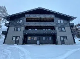 Spacious apartment near Hemsedal ski resort