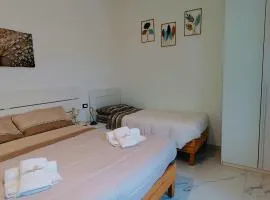 B&B Dream Inn