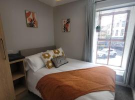 Quirky Tiny Apartment in Kerry，位于特拉利的酒店