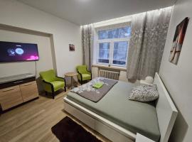 Kauno apartamentai king size bed，位于考纳斯的青旅