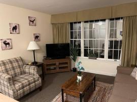 Mountain View Suite at Jiminy Peak - Ski On Off - Near Elevator Pool and Lobby，位于汉考克的酒店