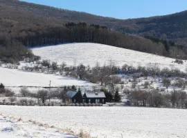 Endless Meadow House