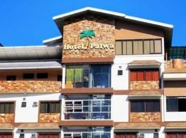 Hotel Palwa，位于杜马格特的酒店