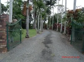 翡翠热带棕榈住宿加早餐旅馆