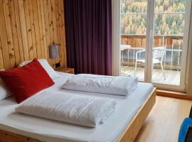 Capetta Appartement，位于Cresta的酒店