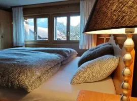 Charmantes Haus in Unterseen