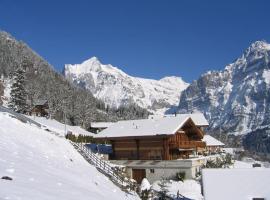 Chalet Heimat，位于格林德尔瓦尔德的酒店