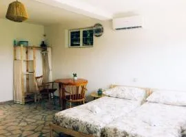 Suite Tangerine Studio