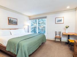 Mountainside Inn 219 by Alpine Lodging Telluride，位于特柳赖德的酒店