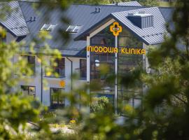 Miodowa Klinika，位于Kamianna的酒店