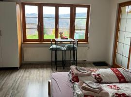 Kleine Ferienwohnung - Nähe Schweizergrenze，位于Hohentengen的酒店
