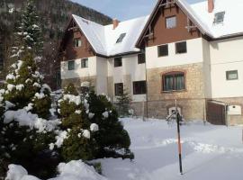 Villa Wellspacher Semmering 2BR Luxury Apartment，位于塞默灵的酒店